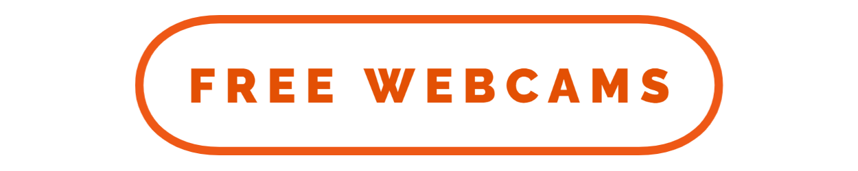 Free Webcams logo